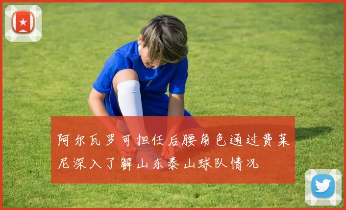 阿尔瓦罗可担任后腰角色通过费莱尼深入了解山东泰山球队情况