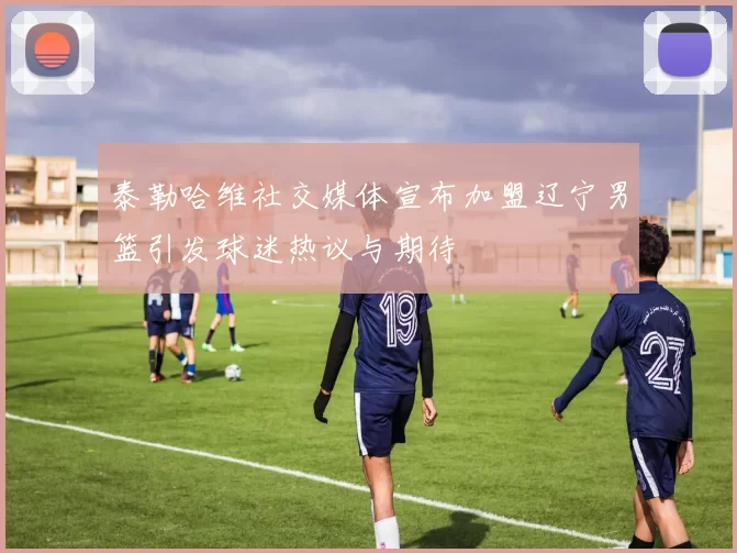 泰勒哈维社交媒体宣布加盟辽宁男篮引发球迷热议与期待